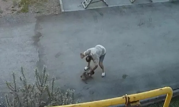 Скриншот