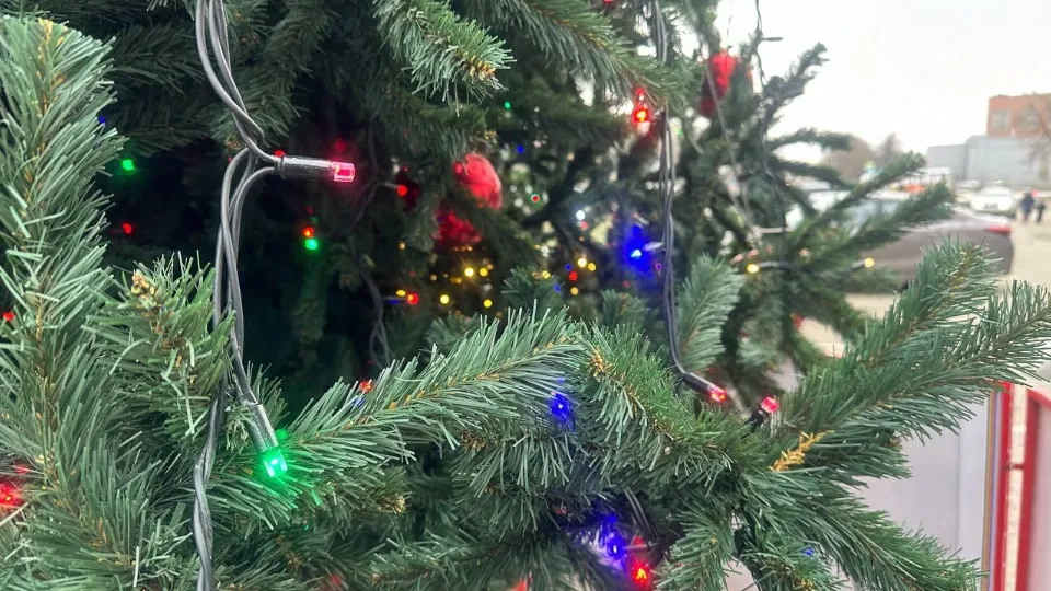 Фото: Эдуард Стратонов