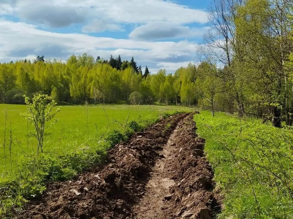 Фото: Комитет лесного хозяйства Московской области