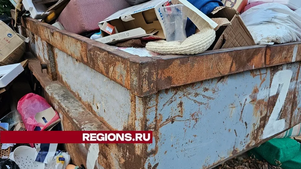 Фото: REGIONS/Александр Дрожжин