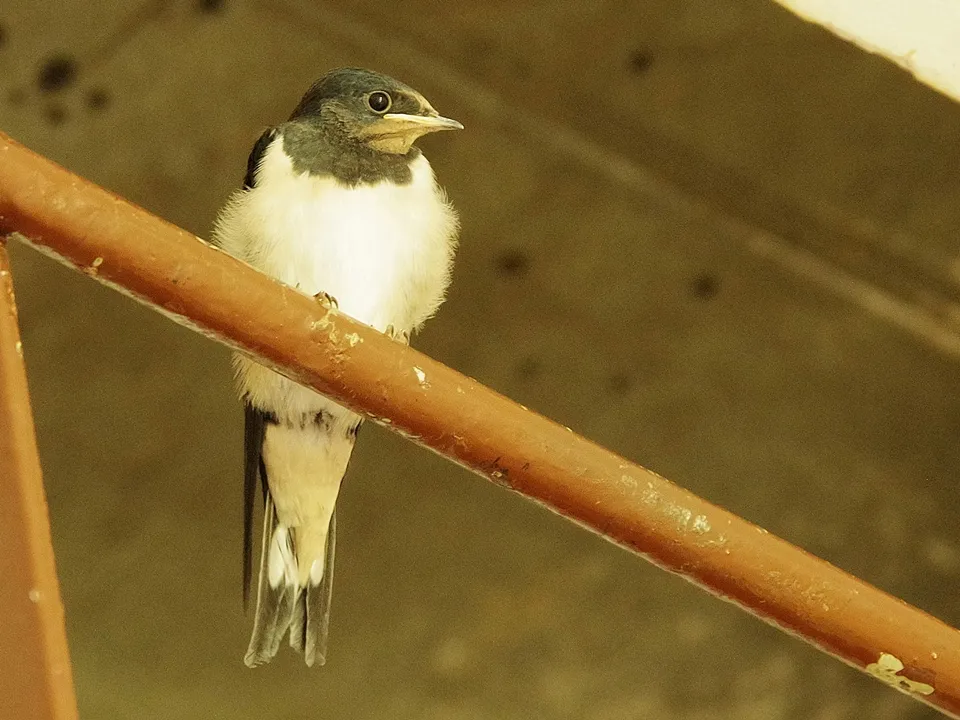 Фото: Ольга Калинина