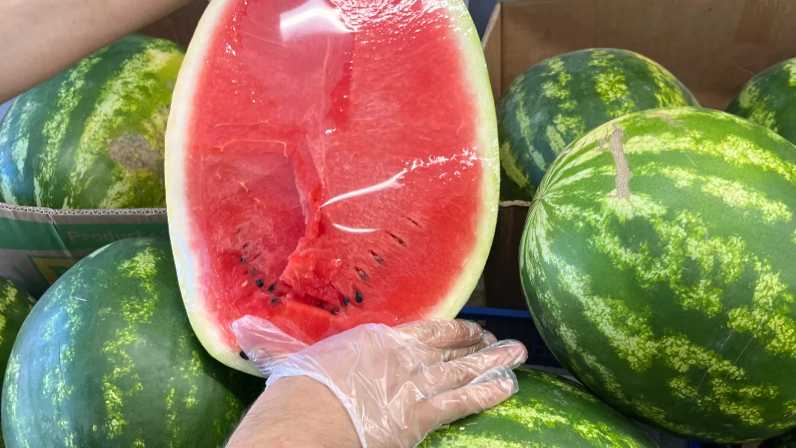 Фото: МедиаБанк Подмосковья/Ангелина Стельмух