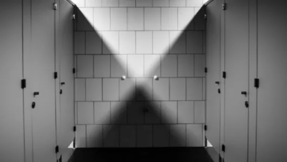 Туалет. Фото: pxhere.com