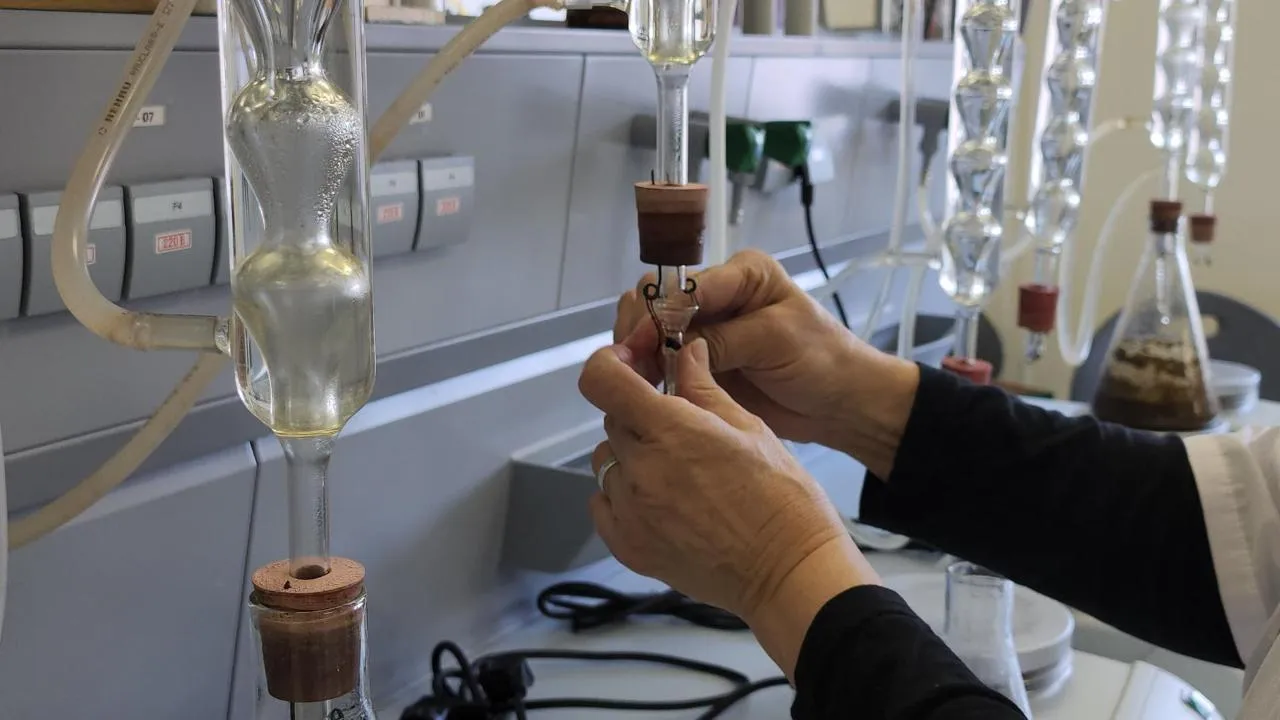 REGIONS/Кристина Ларина