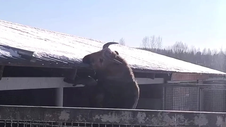 Фото: t.me/rare_animals_zoo