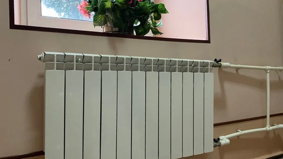 Фото: МедиаБанк Подмосковья/Екатерина Морозова