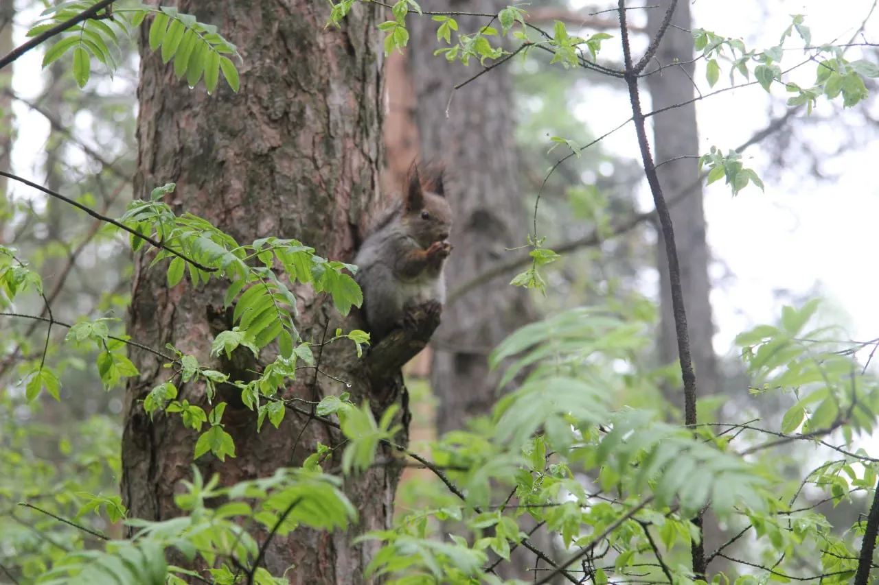 Фото: пресс-служба администрации г.о. Зарайск.