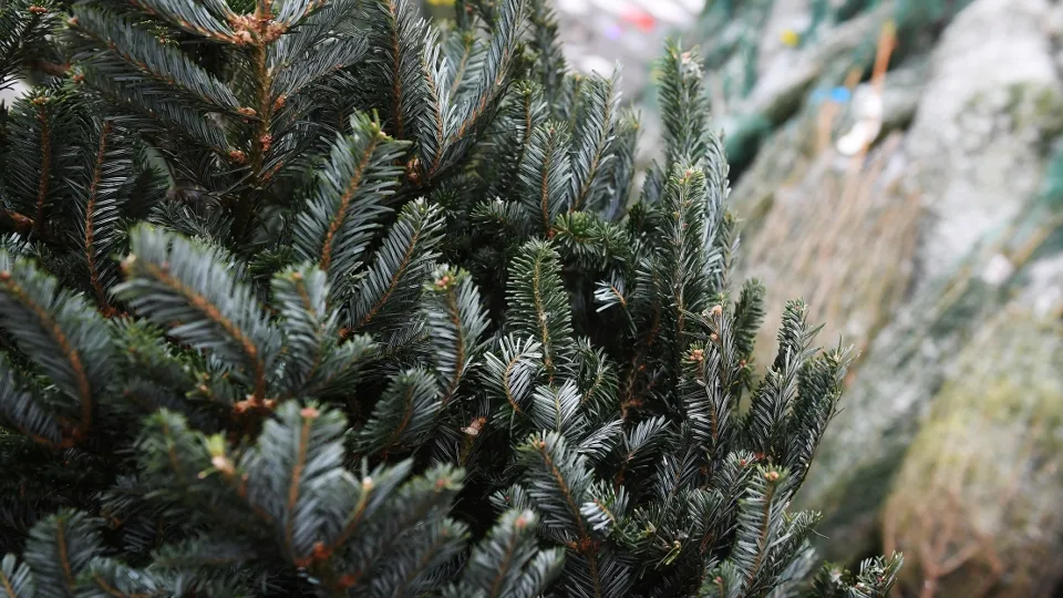 Фото: РИА Новости/Нина Зотина