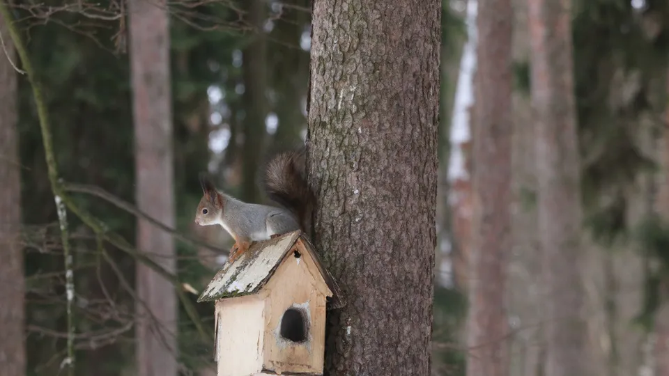 Фото: Елена Магаляс