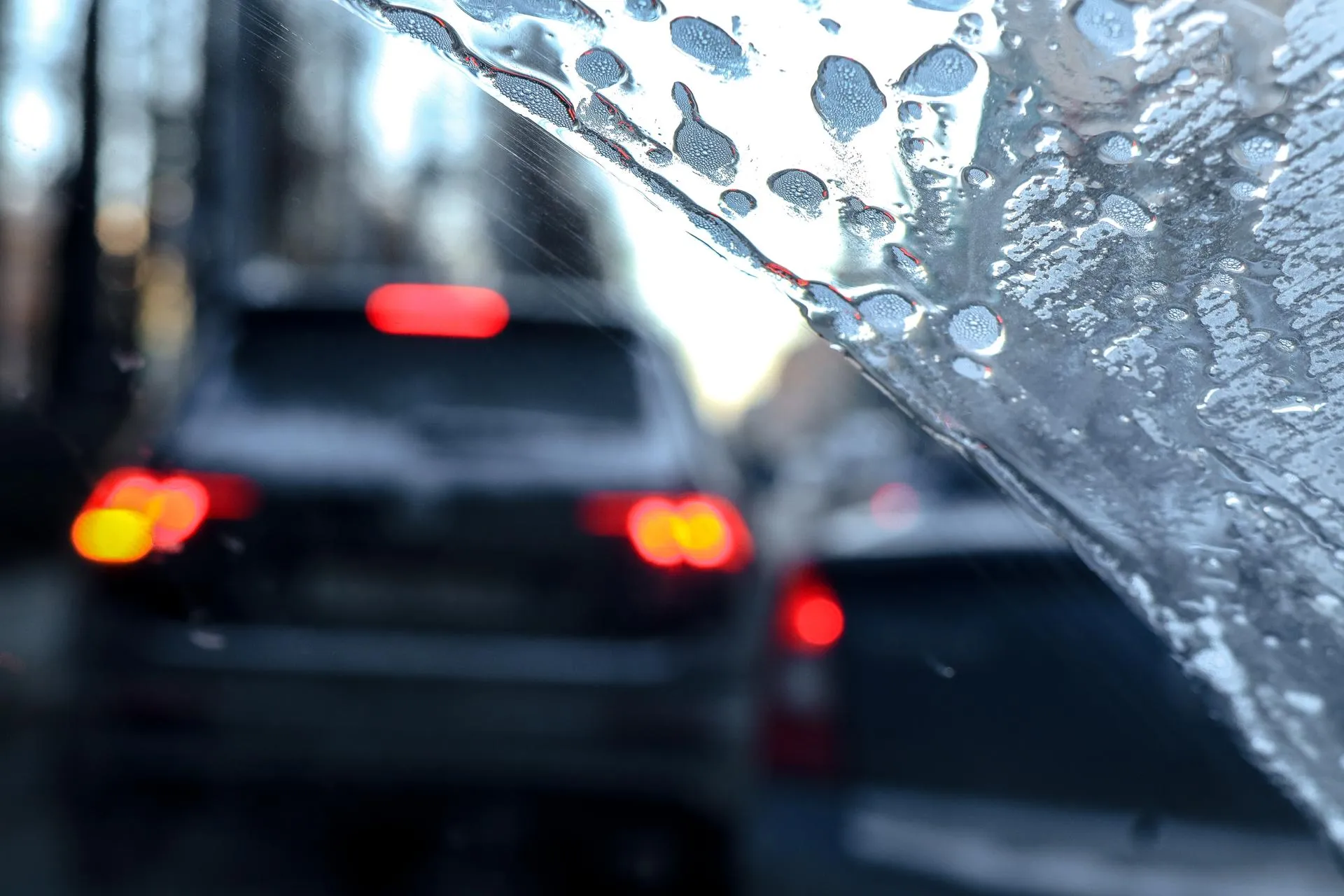 Elena Mayorova/Global Look Press