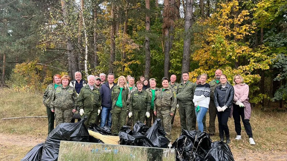 Фото: Комитет лесного хозяйства МО