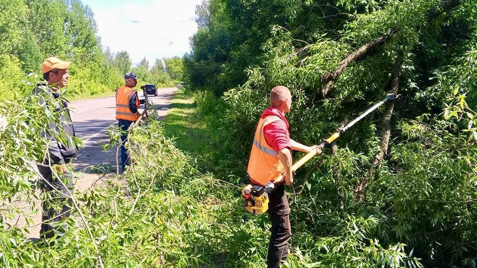 Фото: Министерство транспорта и дорожной инфраструктуры Московской области