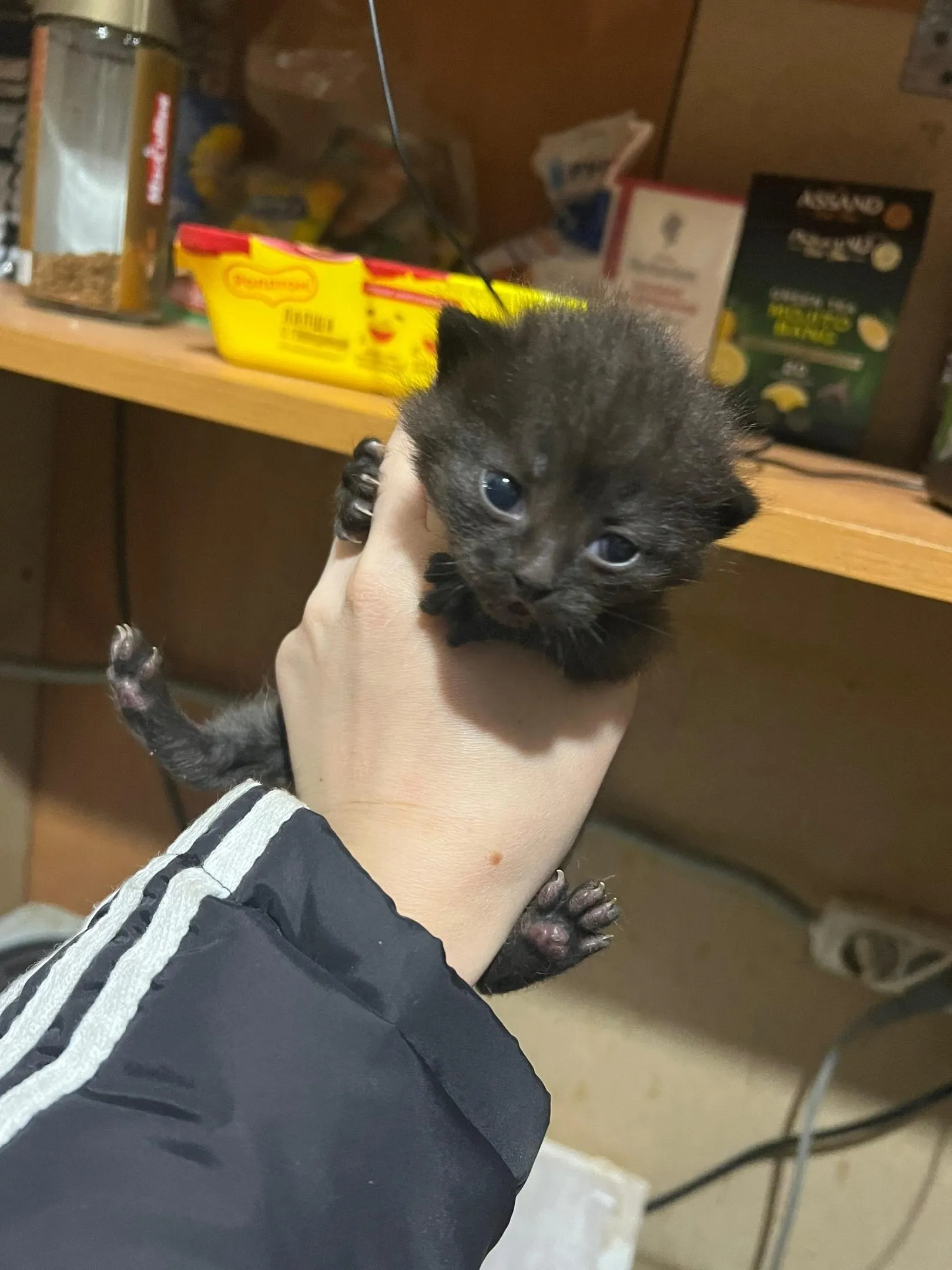 Фото: Подслушано на Глебовке (новая) / ВКонтакте