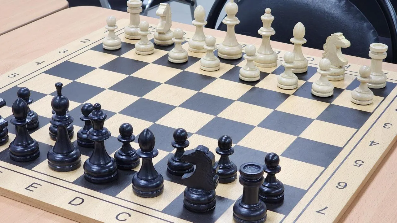 REGIONS/Мария Шигорева