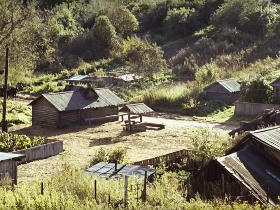 Проект Никиты Михалкова по открытию турцентра на месте съемок «Утомленные солнцем — 2» закрыли: денег нет