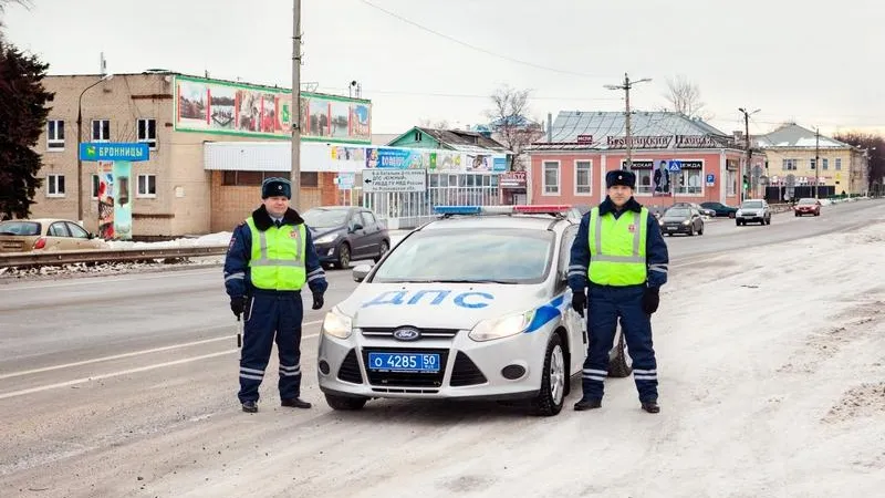 Подмосковные автоинспекторы спасли девушку с терьером из снежного плена