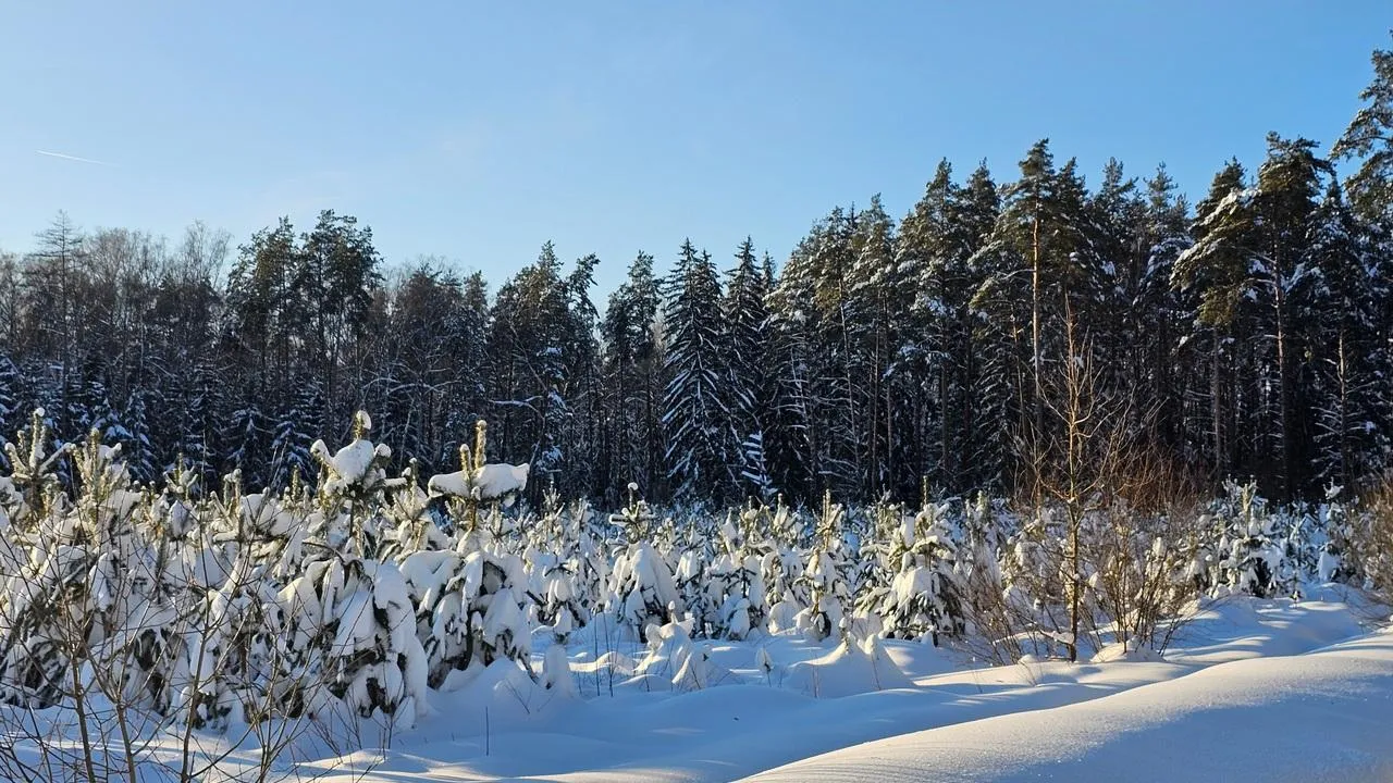 REGIONS/Александр Дрожжин