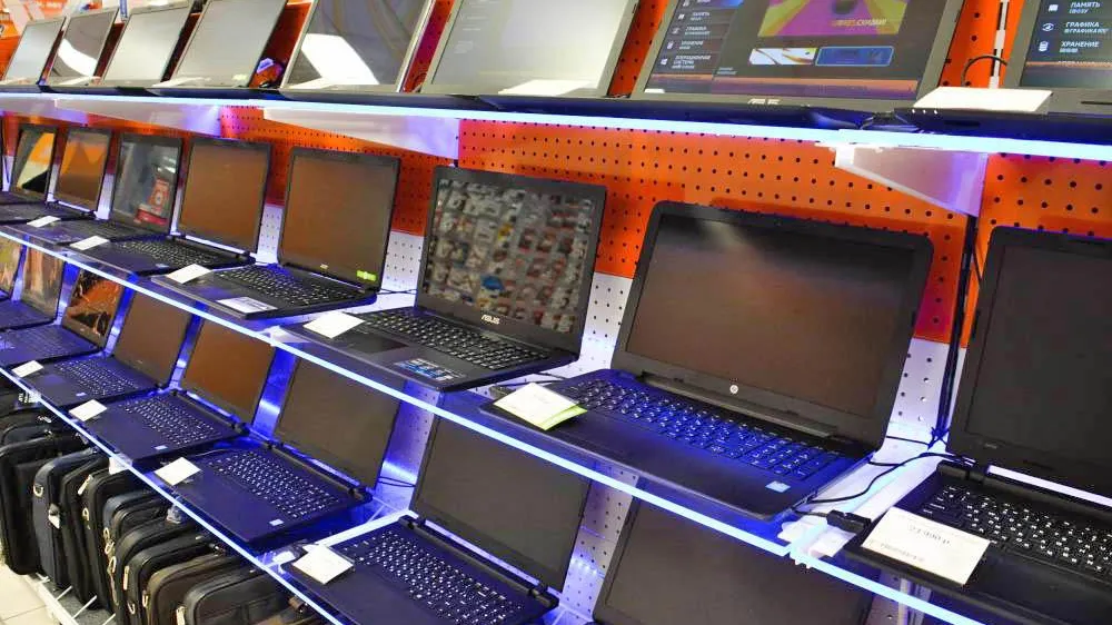 Фото: Илья Тушев / Вести Подмосковья