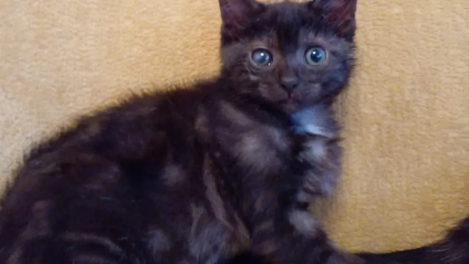 Фото: Наталья Дудина