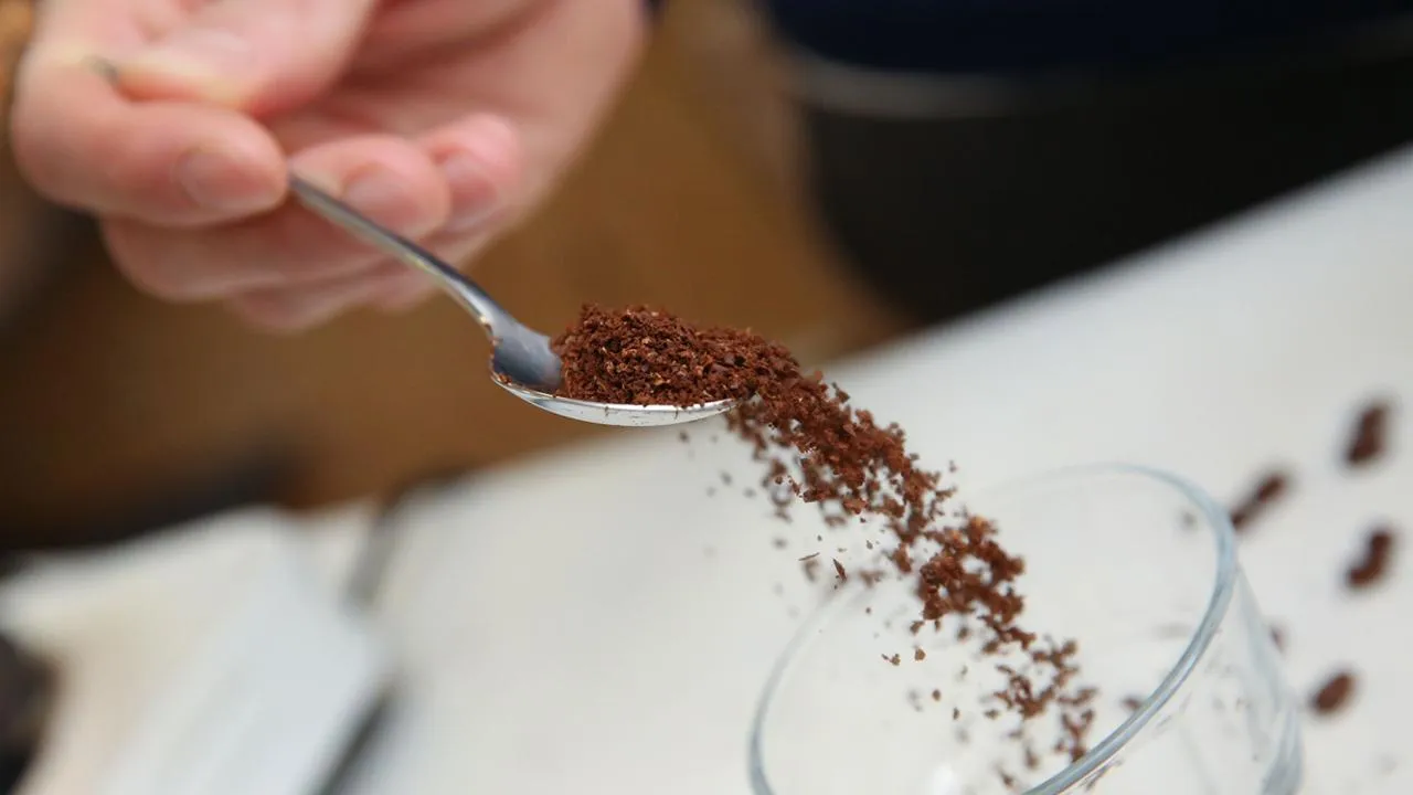 медиасток.рф