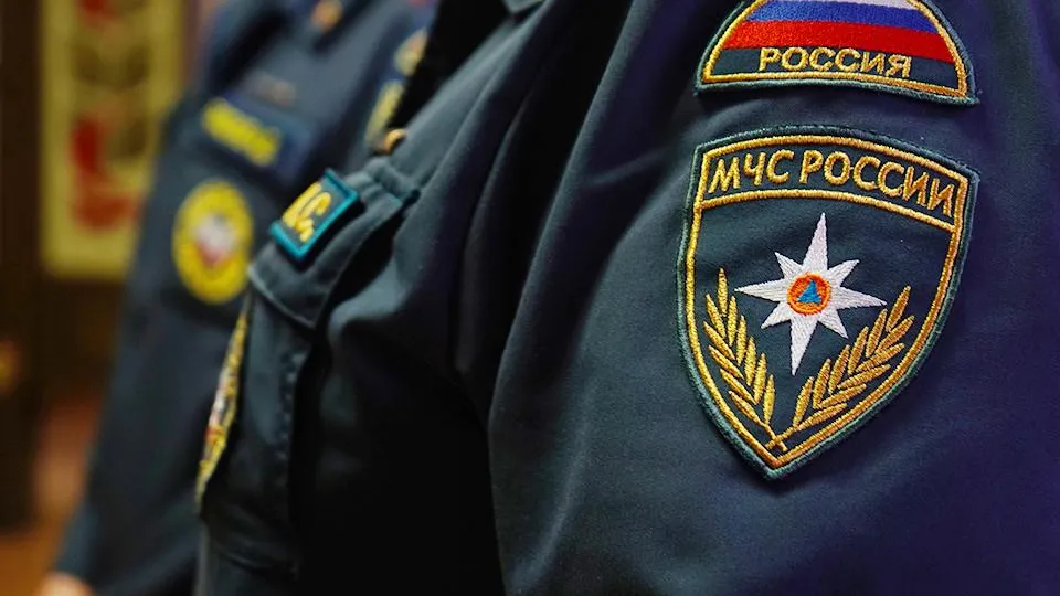 Фото: REGIONS/Анна Быкова