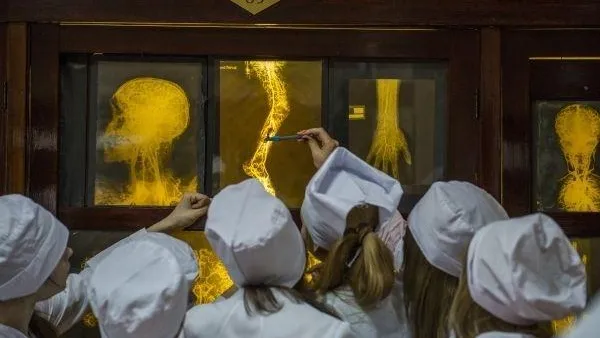 Полторы тысячи направлений на целевое медицинское обучение выдали в Подмосковье