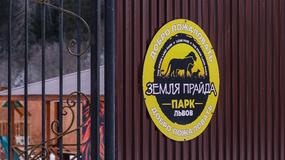 Фото: медиасток.рф