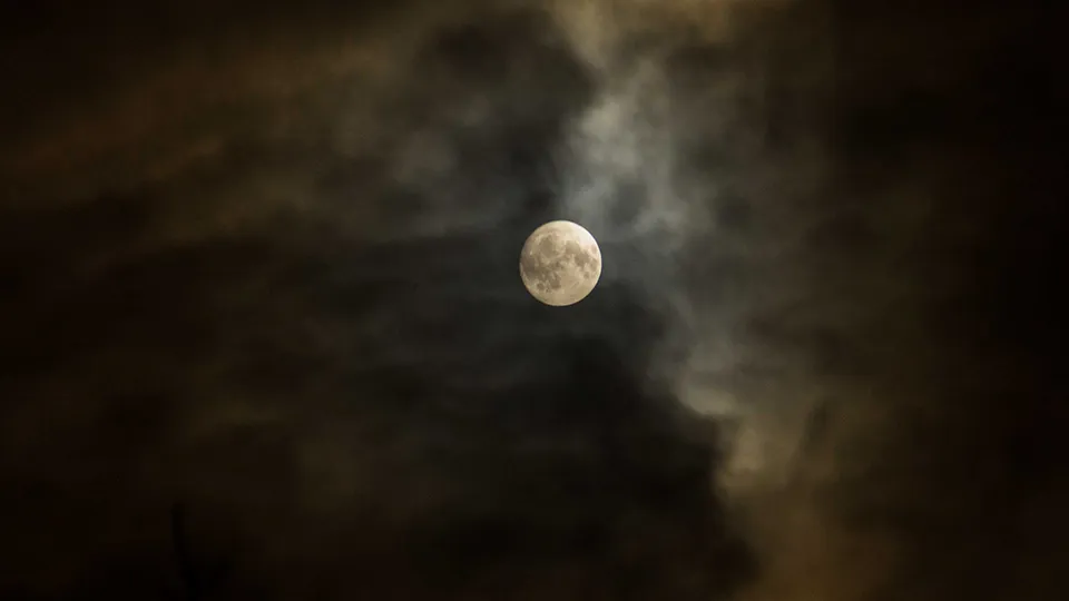 Фото: Антон Кондратюк