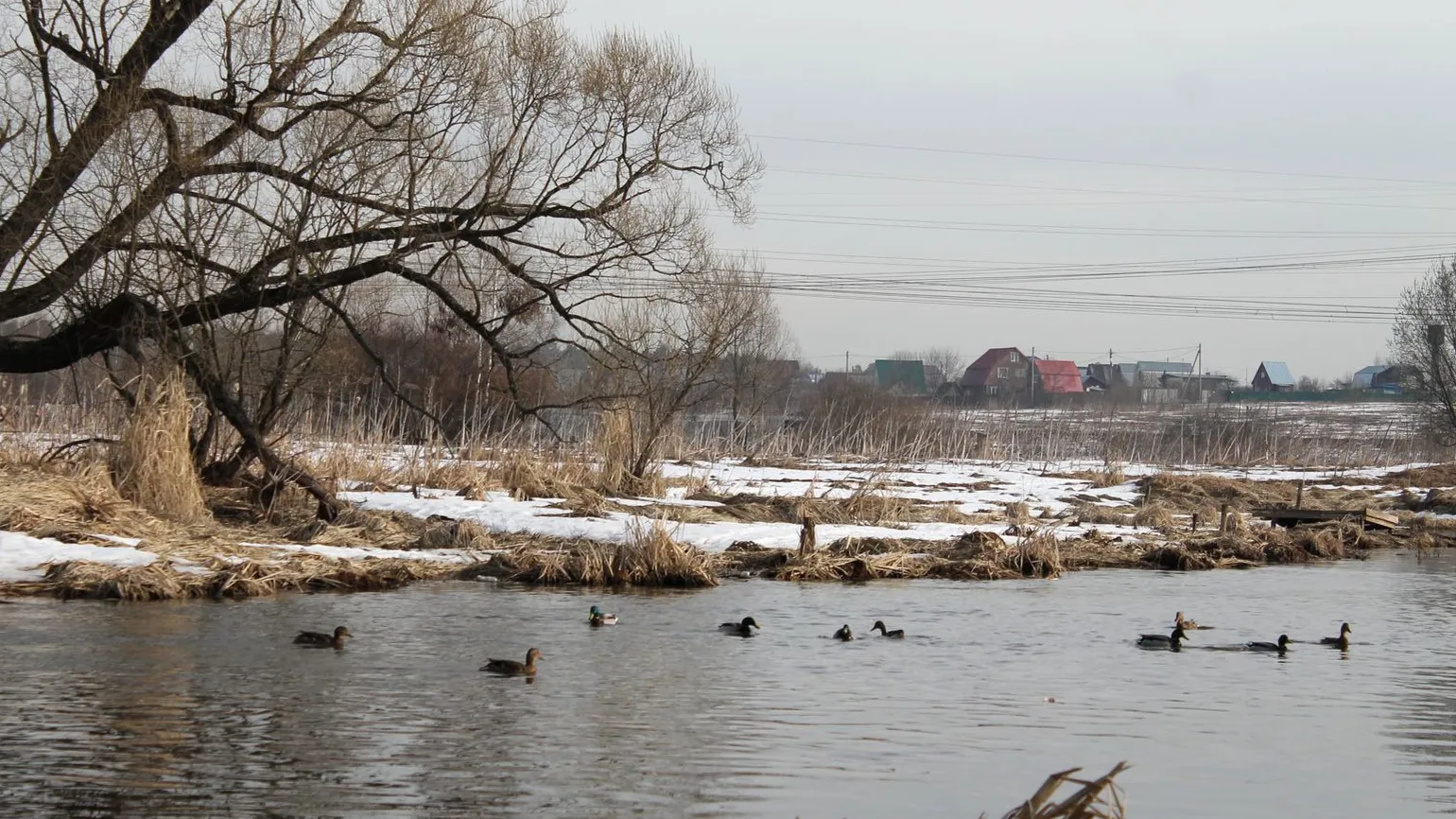 медиасток.рф