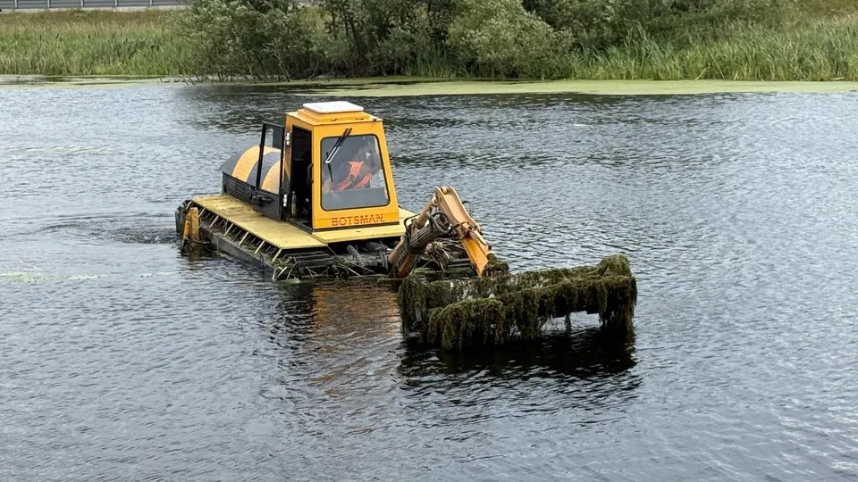 Фото: Анна Дука