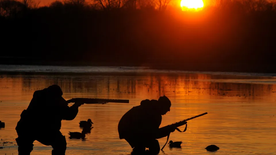 Фото: ТАСС/Виктор Драчев