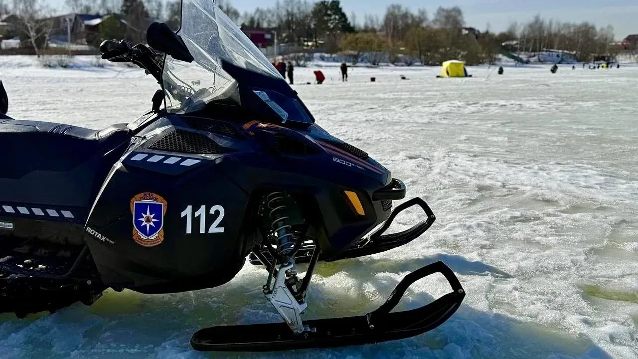 отдел надзорной деятельности и профилактической работы МЧС России по городскому округу Мытищи