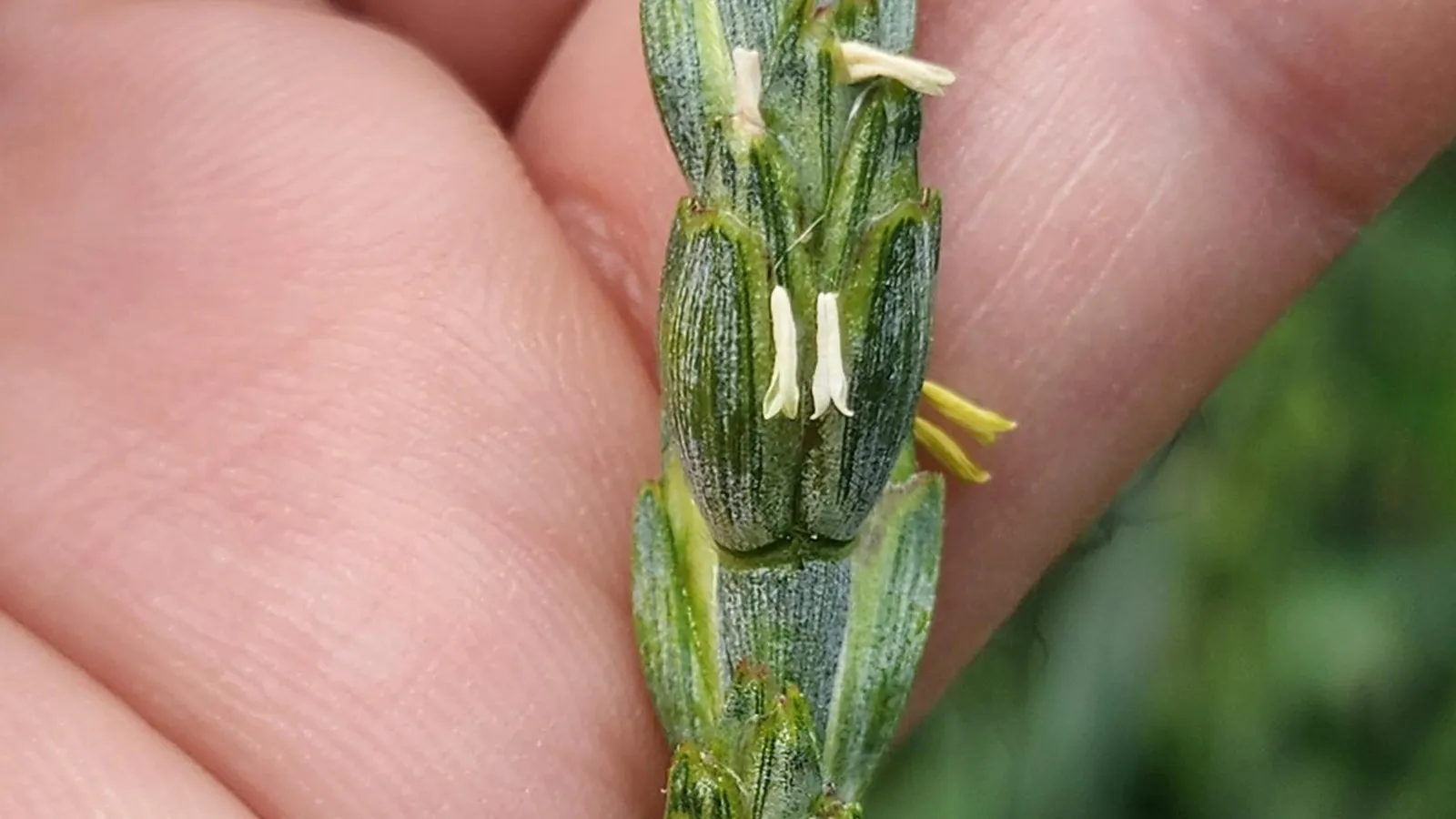 Фото: Андрей Семибратов