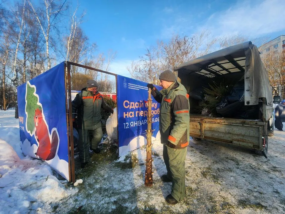 МедиаБанк Подмосковья/Валерия Исаева