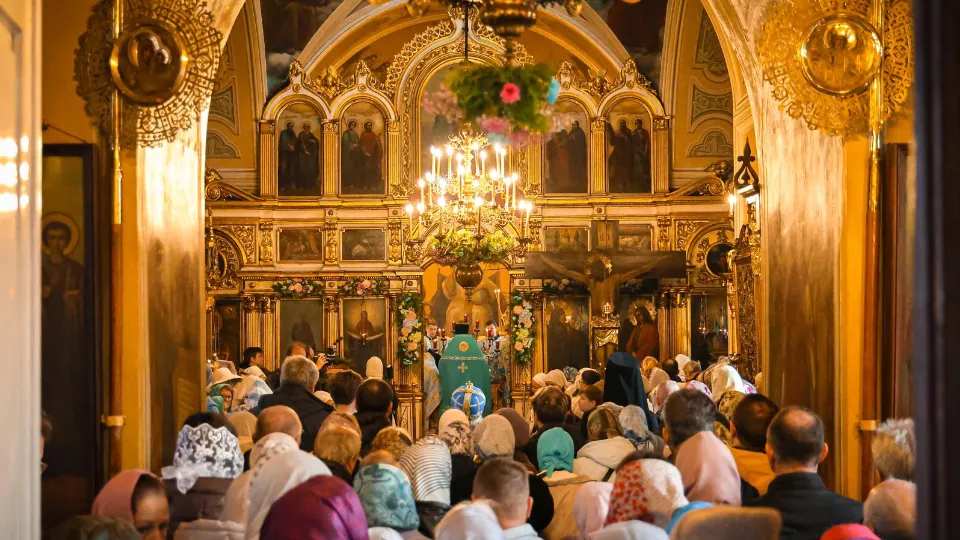 Фото: МедиаБанк Подмосковья/Данила Кирьянов