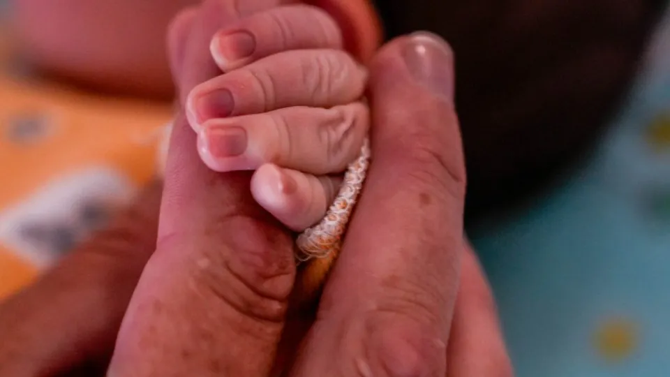 пресс-служба губернатора и правительства Московской области/Александра Степанова