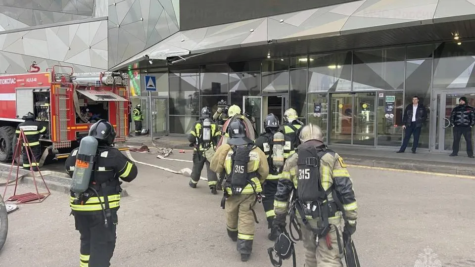 Фото: ГУ МЧС России по Московской области