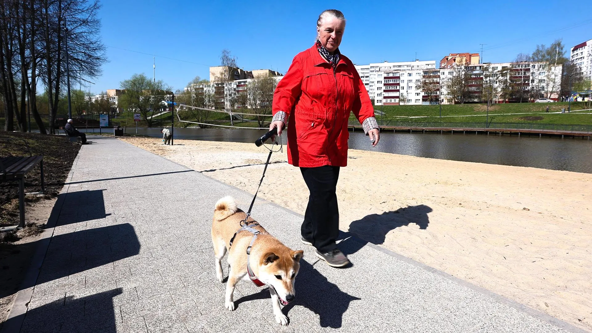 Фото: медиатор.рф