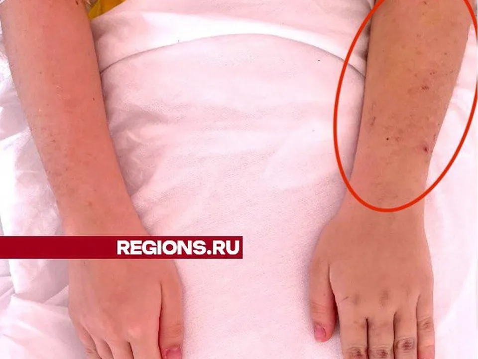 Фото:&nbsp; МОЦОМД