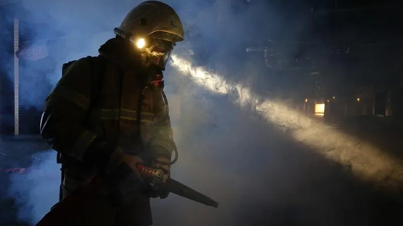 Пожилая женщина с ребенком сгорели при пожаре в Развилке