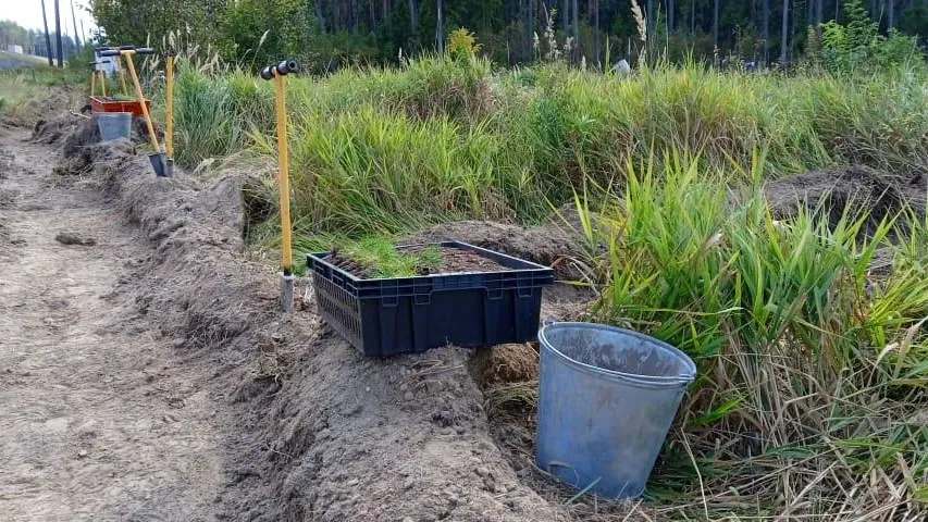 Комитет лесного хозяйства Московской области