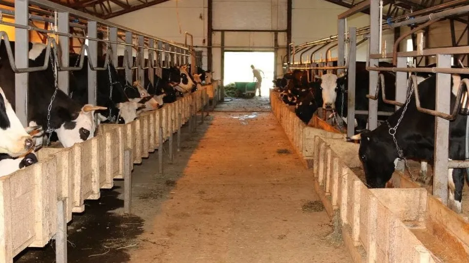 Фото: Министерство сельского хозяйства и продовольствия Московской области