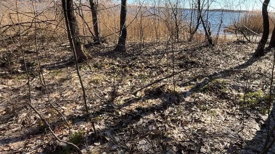 Фото: пресс-служба администрации Шатурского муниципального округа