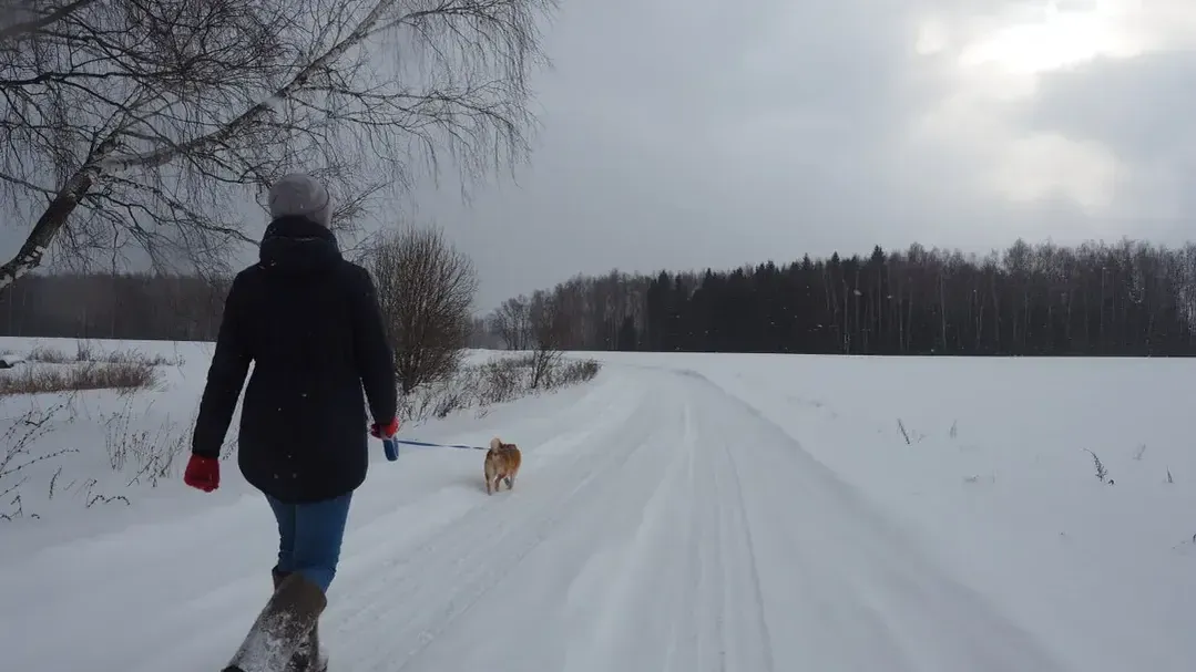 МедиаБанк Подмосковья/Дарья Леонова