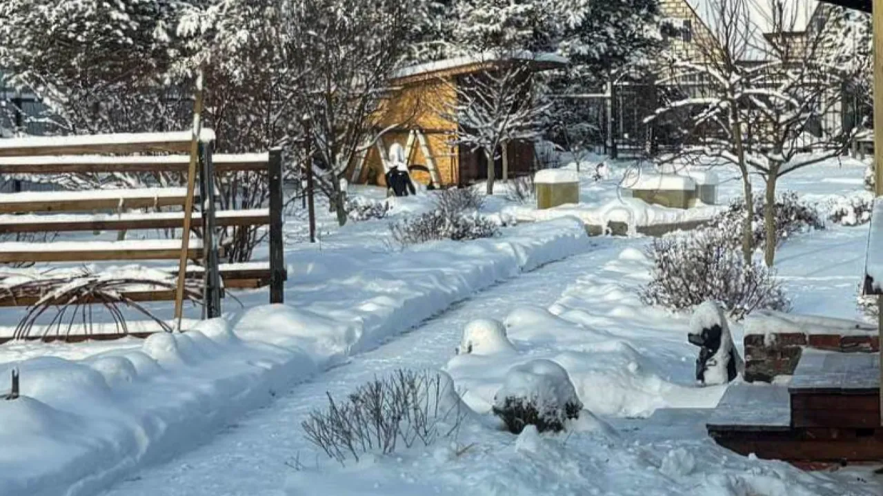 REGIONS/Полина Крачун