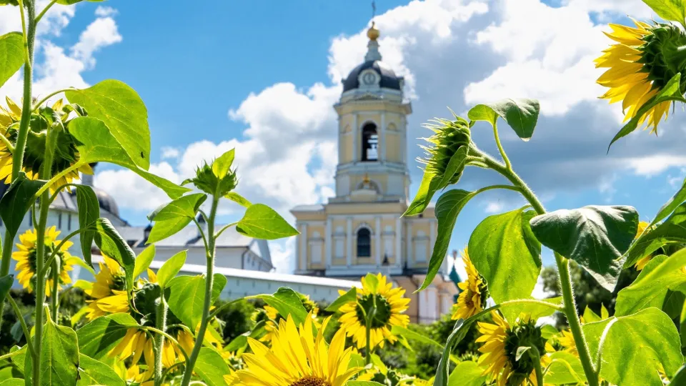 Фото: пресс-служба Администрации г.о. Серпухов