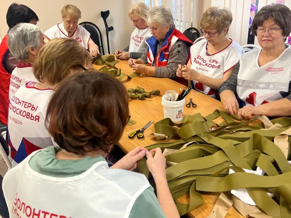 Фото:&nbsp;Волоколамский Ресурсный центр «Волонтеров Подмосковья»