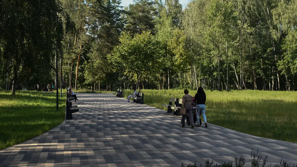 Фото: медиасток.рф