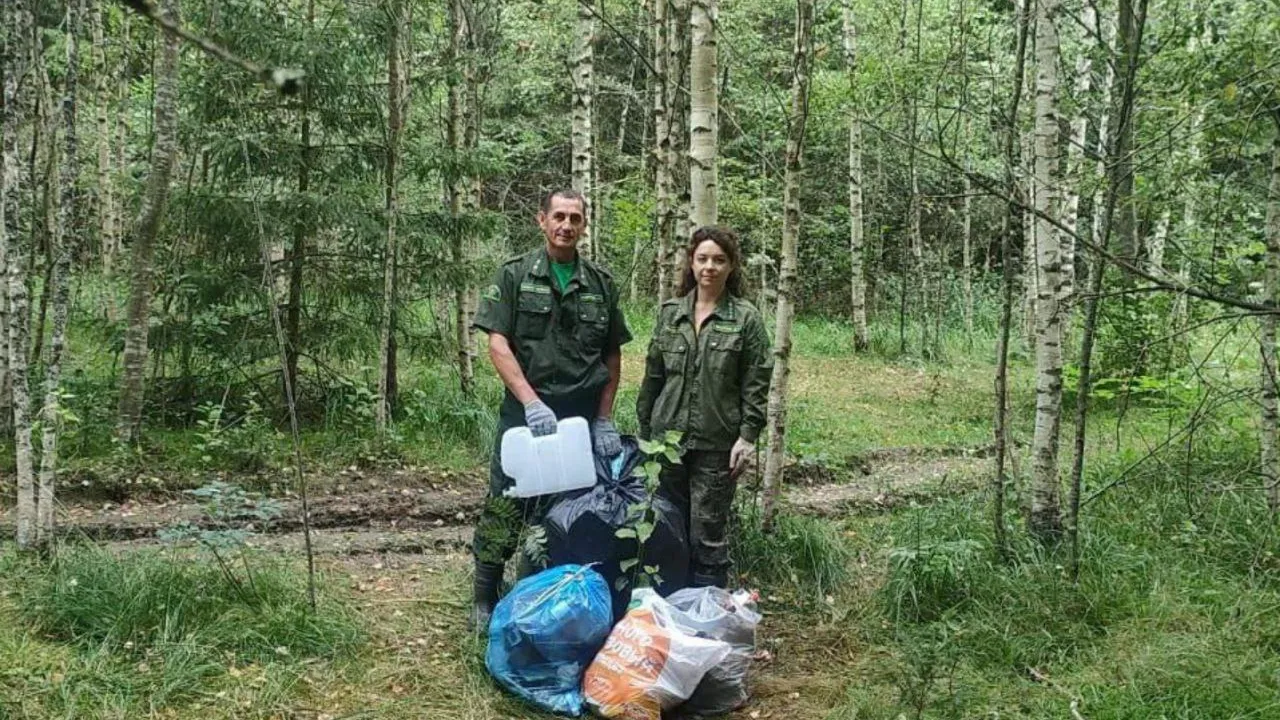 Фото: Комитет лесного хозяйства МО