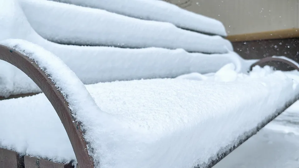 Фото: МедиаБанк Подмосковья/Елена Катасонова